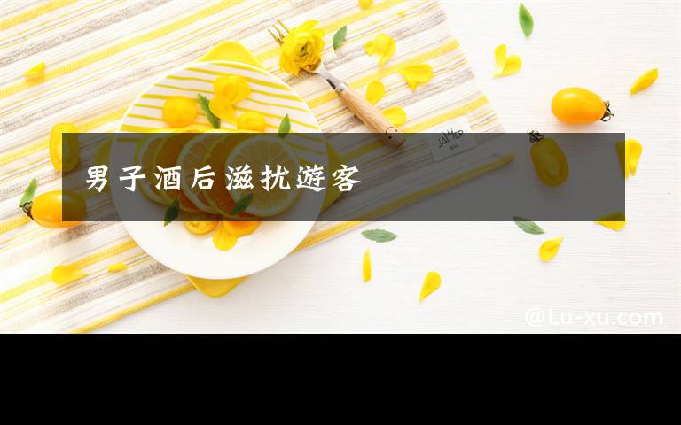 男子酒后滋扰游客