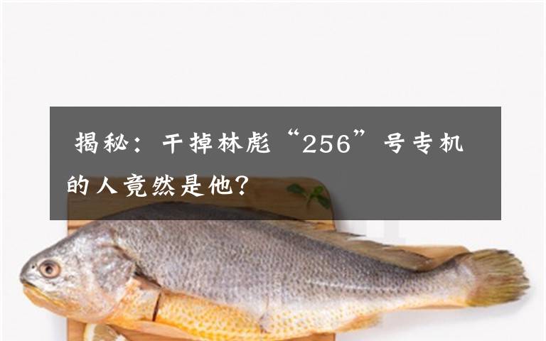 揭秘:干掉林彪“256”号专机的人竟然是他?