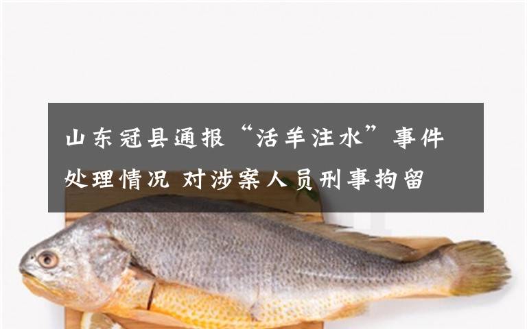 山东冠县通报“活羊注水”事件处理情况 对涉案人员刑事拘留 究竟发生了什么?