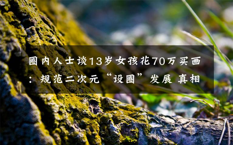圈内人士谈13岁女孩花70万买画:规范二次元“设圈”发展 真相到底是怎样的?