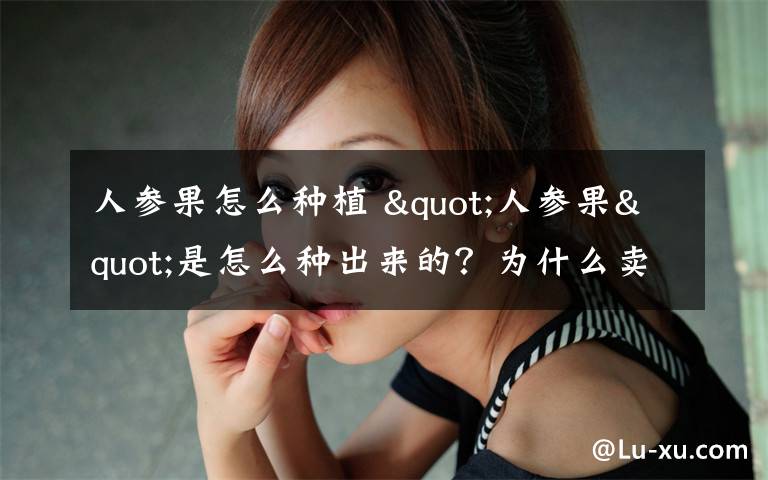 人参果怎么种植 "人参果"是怎么种出来的?为什么卖的这么贵?