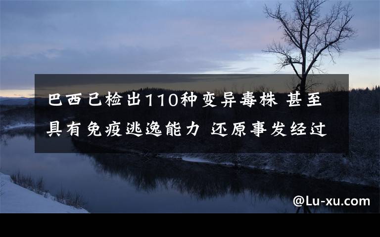巴西已检出110种变异毒株 甚至具有免疫逃逸能力 还原事发经过及背后真相!