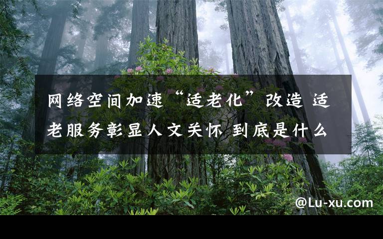 网络空间加速“适老化”改造 适老服务彰显人文关怀 到底是什么状况?