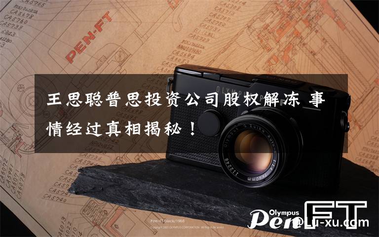 王思聪普思投资公司股权解冻 事情经过真相揭秘!