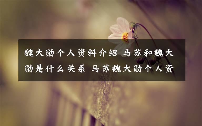 魏大勋个人资料介绍 马苏和魏大勋是什么关系 马苏魏大勋个人资料介绍