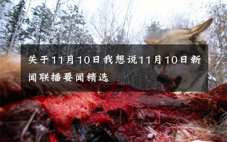 关于11月10日我想说11月10日新闻联播要闻精选