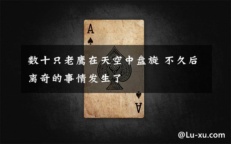 数十只老鹰在天空中盘旋 不久后离奇的事情发生了