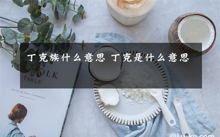 丁克族什么意思 丁克是什么意思