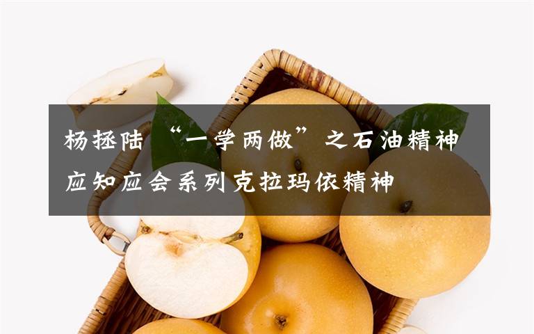 杨拯陆 “一学两做”之石油精神应知应会系列克拉玛依精神