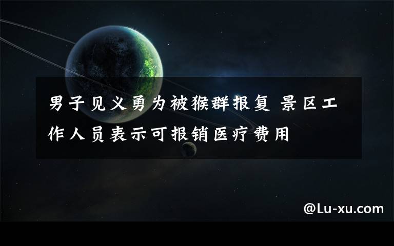 男子见义勇为被猴群报复 景区工作人员表示可报销医疗费用