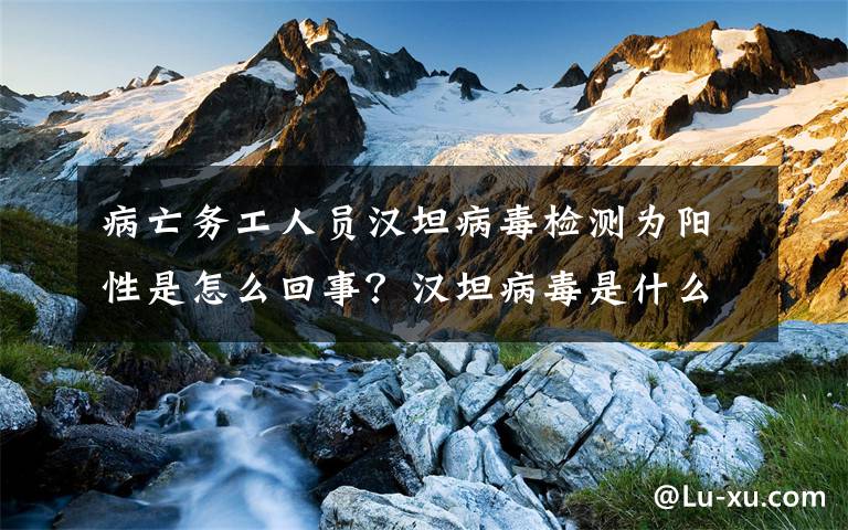 病亡务工人员汉坦病毒检测为阳性是怎么回事?汉坦病毒是什么?传播途径有哪些?附详情