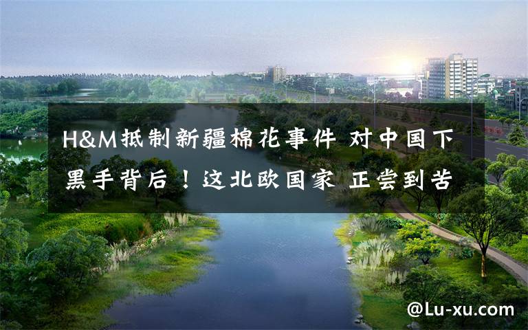 H&M抵制新疆棉花事件 对中国下黑手背后！这北欧国家 正尝到苦果