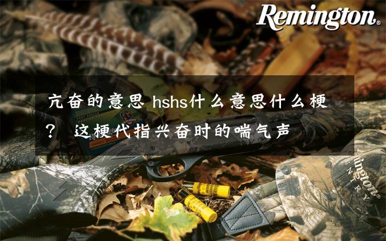 亢奋的意思 hshs什么意思什么梗？ 这梗代指兴奋时的喘气声