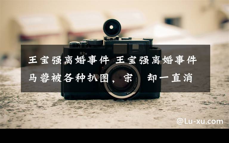 王宝强离婚事件 王宝强离婚事件马蓉被各种扒图，宋喆却一直消失