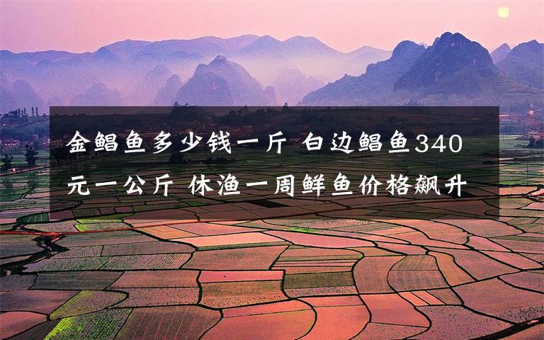 金鲳鱼多少钱一斤 白边鲳鱼340元一公斤 休渔一周鲜鱼价格飙升