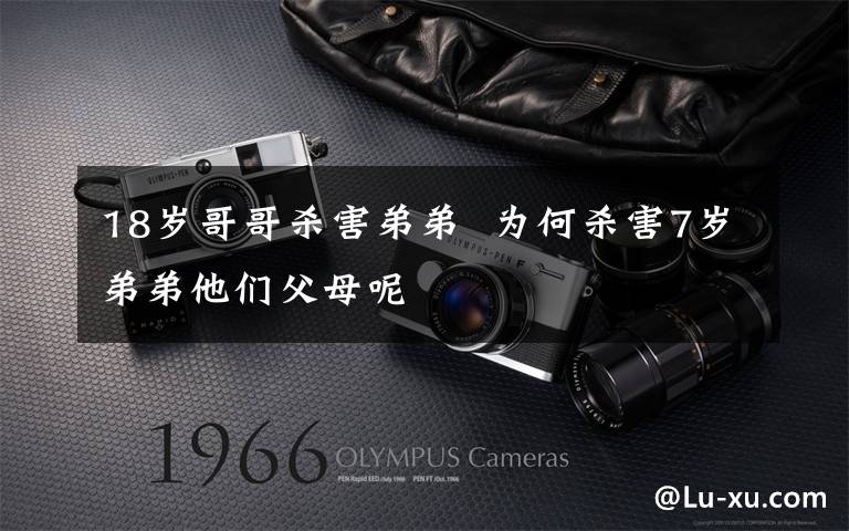 18岁哥哥杀害弟弟 为何杀害7岁弟弟他们父母呢