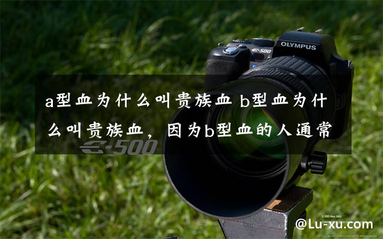 a型血为什么叫贵族血 b型血为什么叫贵族血,因为b型血的人通常消化功能都比较强大