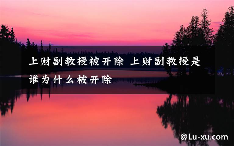 上财副教授被开除 上财副教授是谁为什么被开除