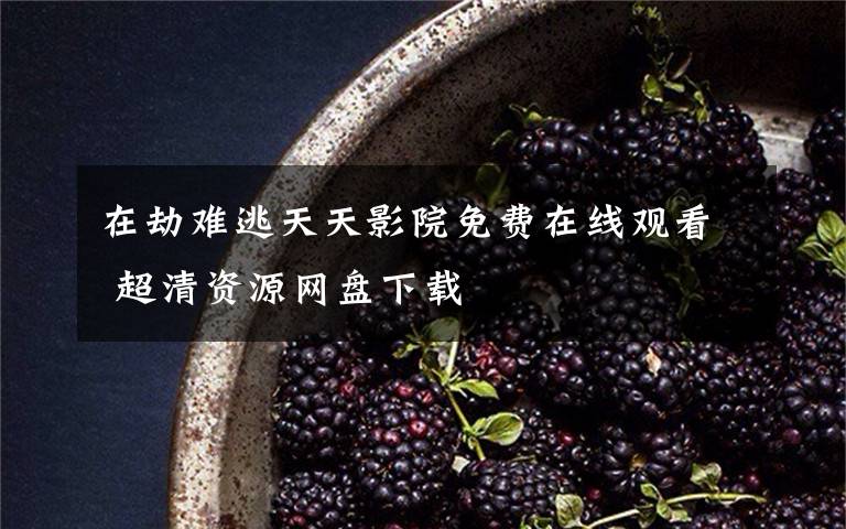 在劫难逃天天影院免费在线观看 超清资源网盘下载