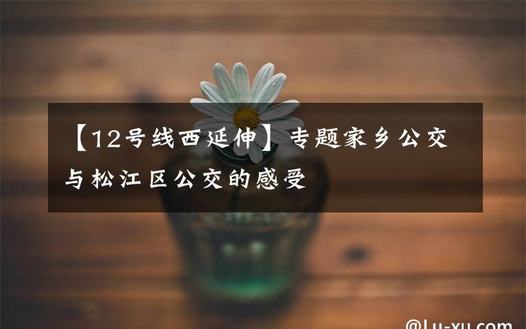 【12号线西延伸】专题家乡公交与松江区公交的感受