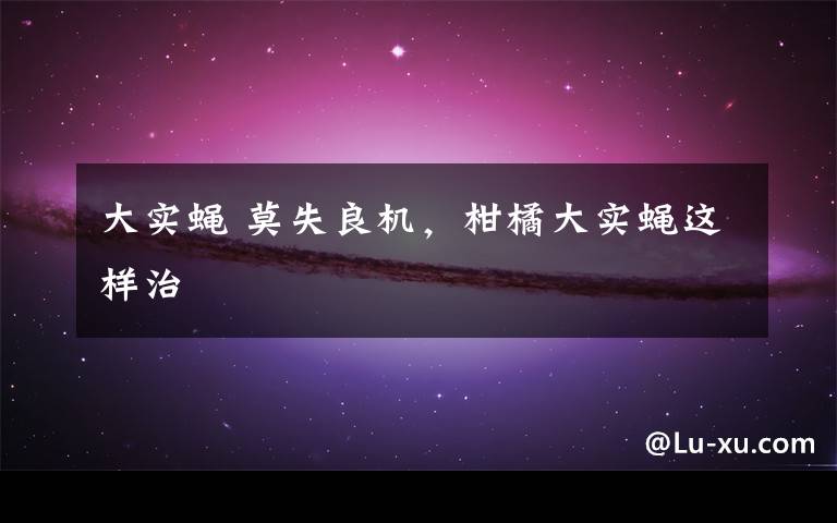 大实蝇 莫失良机,柑橘大实蝇这样治