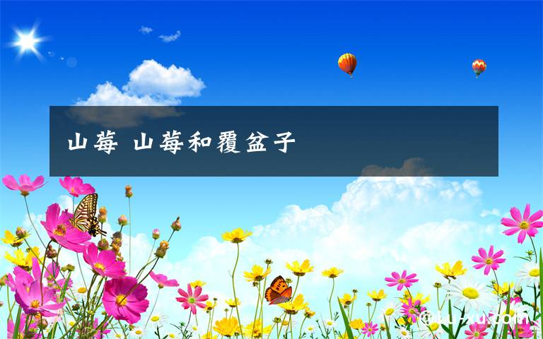 山莓 山莓和覆盆子