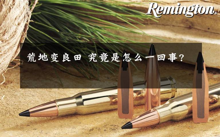 荒地变良田 究竟是怎么一回事?