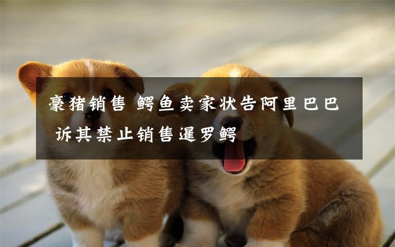 豪猪销售 鳄鱼卖家状告阿里巴巴 诉其禁止销售暹罗鳄