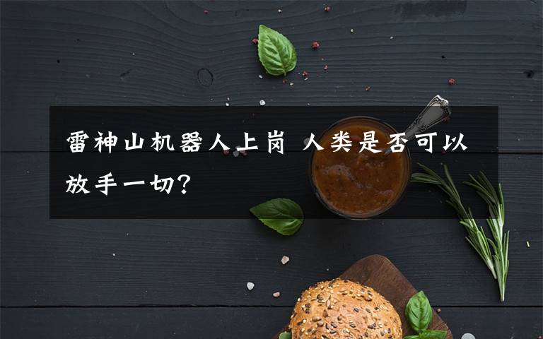 雷神山机器人上岗 人类是否可以放手一切?