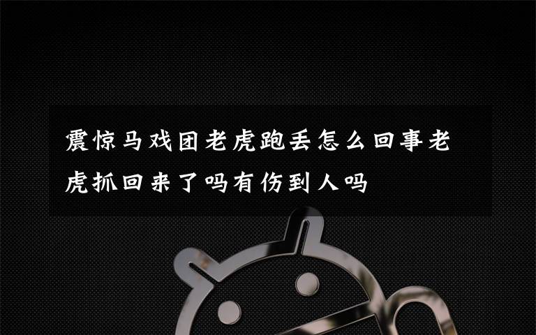 震惊马戏团老虎跑丢怎么回事老虎抓回来了吗有伤到人吗