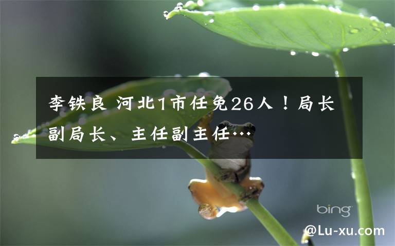 李铁良 河北1市任免26人!局长副局长、主任副主任…