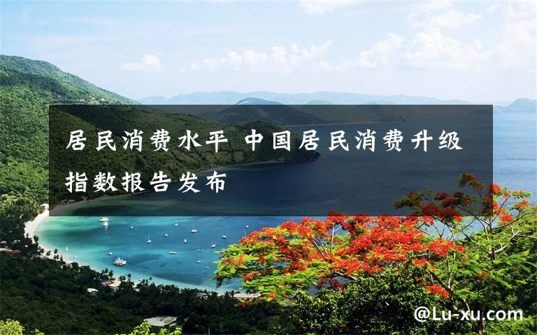 居民消费水平 中国居民消费升级指数报告发布