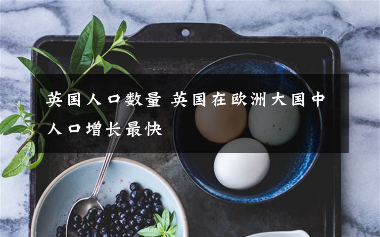 英国人口数量 英国在欧洲大国中人口增长最快