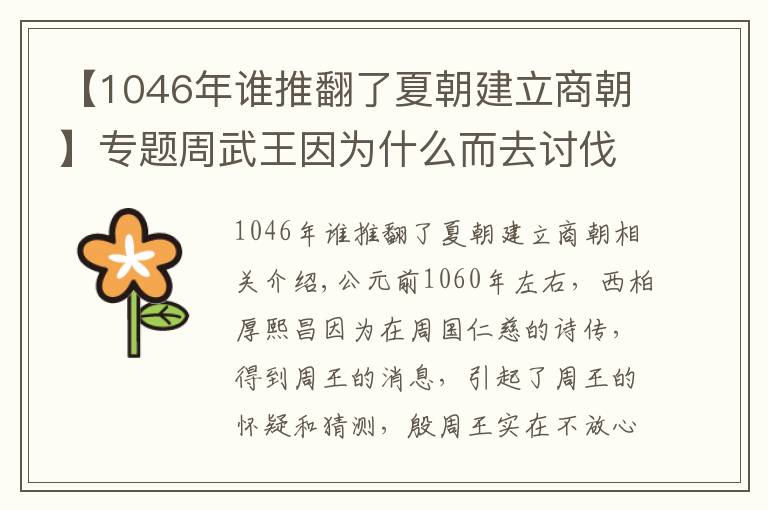 【1046年谁推翻了夏朝建立商朝】专题周武王因为什么而去讨伐纣王,后商朝灭亡周朝建立