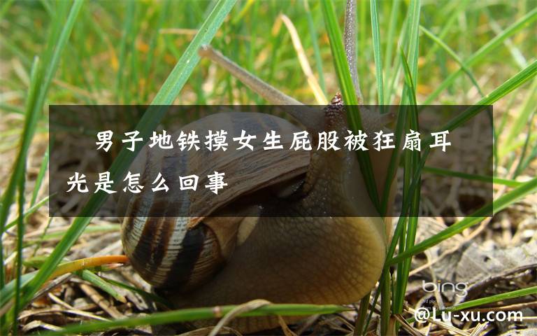 男子地铁摸女生屁股被狂扇耳光是怎么回事