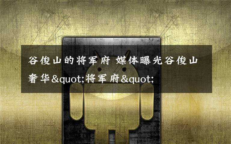 谷俊山的将军府 媒体曝光谷俊山奢华"将军府"