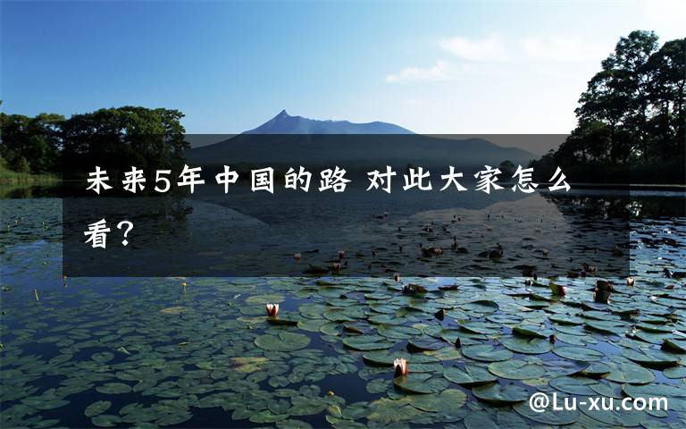未来5年中国的路 对此大家怎么看?