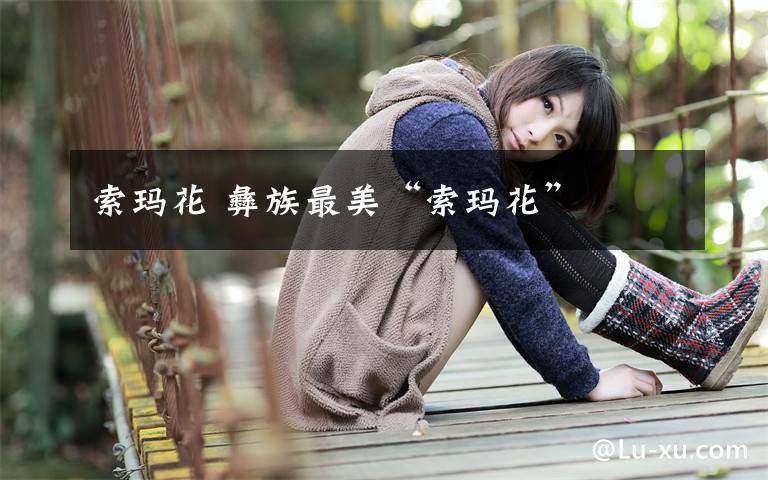 索玛花 彝族最美“索玛花”