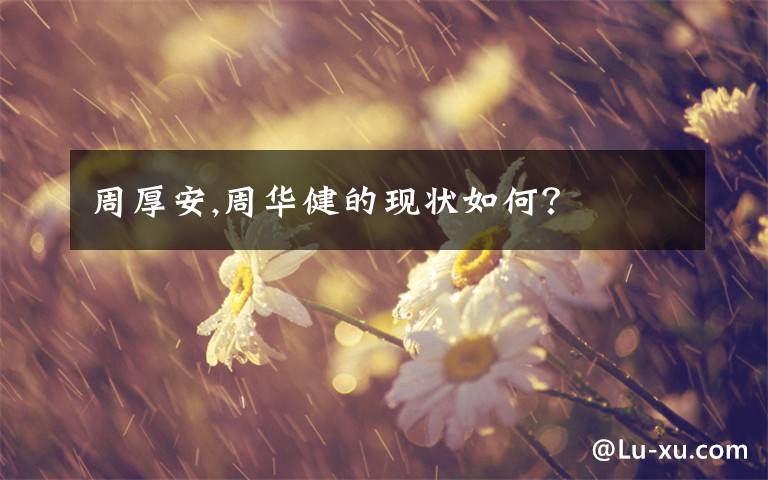 周厚安,周华健的现状如何?