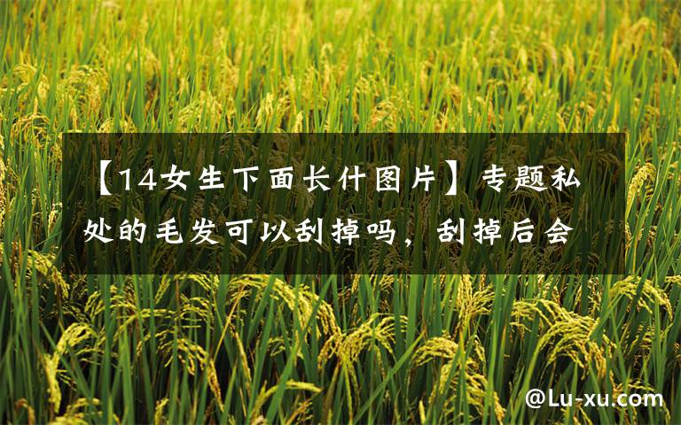 【14女生下面长什图片】专题私处的毛发可以刮掉吗,刮掉后会让丁丁更大吗?