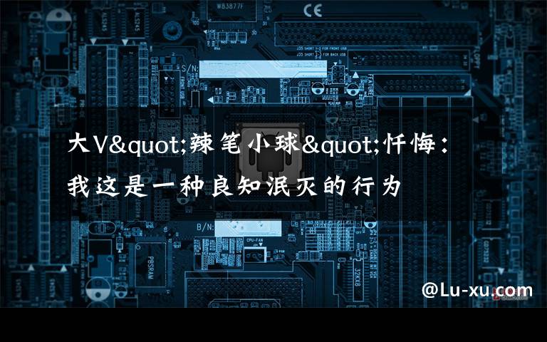 大V"辣笔小球"忏悔:我这是一种良知泯灭的行为