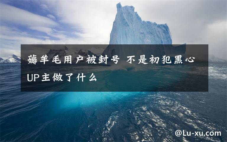 薅羊毛用户被封号 不是初犯黑心UP主做了什么