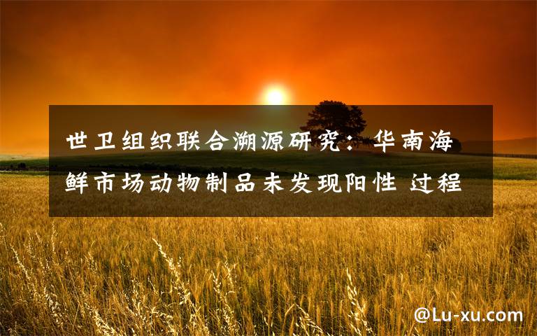 世卫组织联合溯源研究:华南海鲜市场动物制品未发现阳性 过程真相详细揭秘!