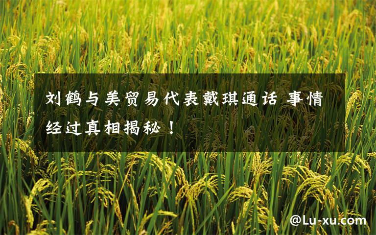 刘鹤与美贸易代表戴琪通话 事情经过真相揭秘！