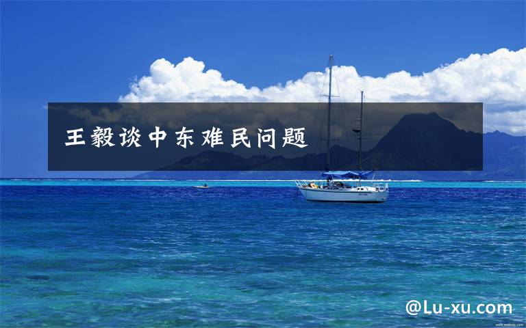 王毅谈中东难民问题