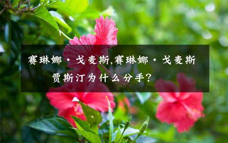 赛琳娜·戈麦斯,赛琳娜·戈麦斯和贾斯汀为什么分手？