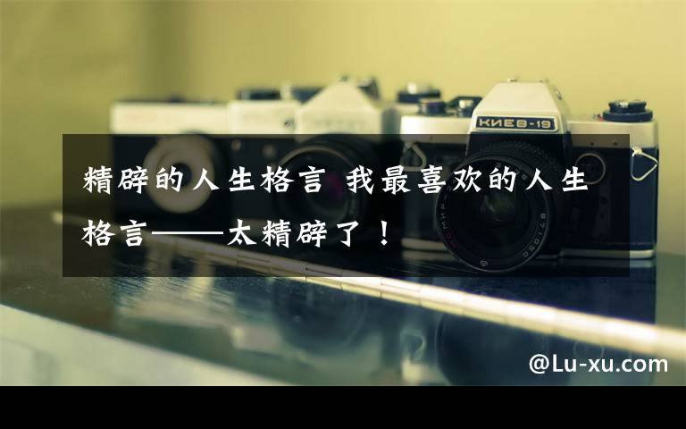 精辟的人生格言 我最喜欢的人生格言——太精辟了！
