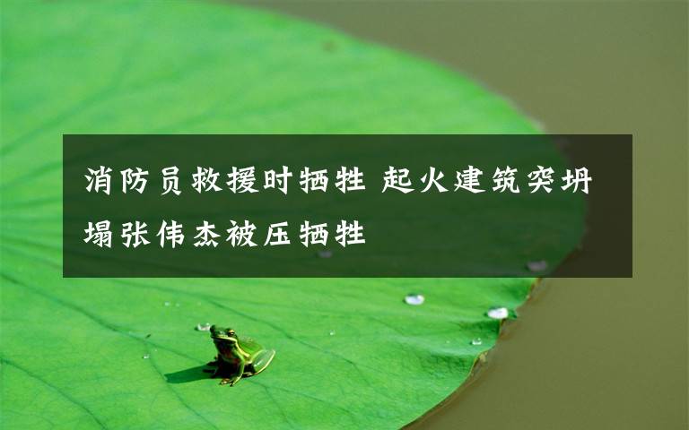 消防员救援时牺牲 起火建筑突坍塌张伟杰被压牺牲