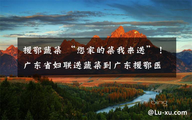 援鄂蔬菜 “您家的菜我来送”!广东省妇联送蔬菜到广东援鄂医疗队员家