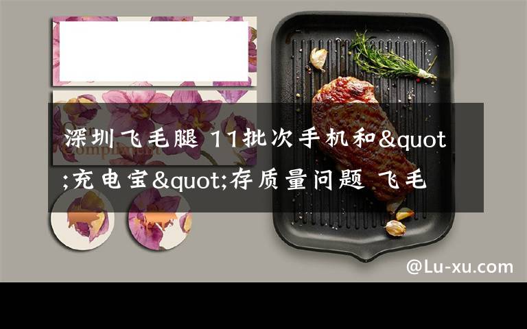 深圳飞毛腿 11批次手机和"充电宝"存质量问题 飞毛腿不合格